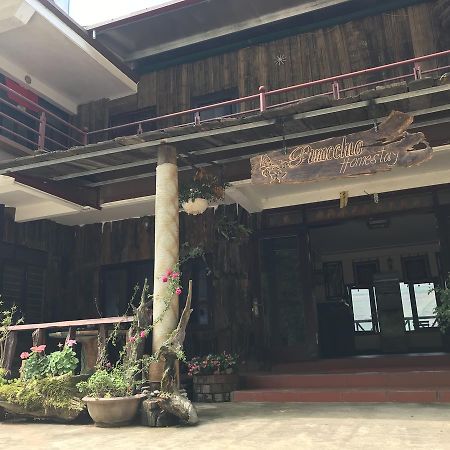 Pinocchio Tavan Homestay Sa Pa Zewnętrze zdjęcie